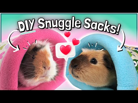 Fabric for Guinea Pigs: The Best Choices for Comfort and Safety