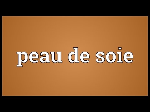 Fabric made from peau de soie