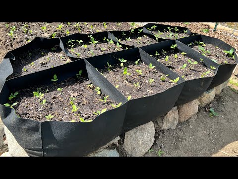 Garden Bed Made of Fabric