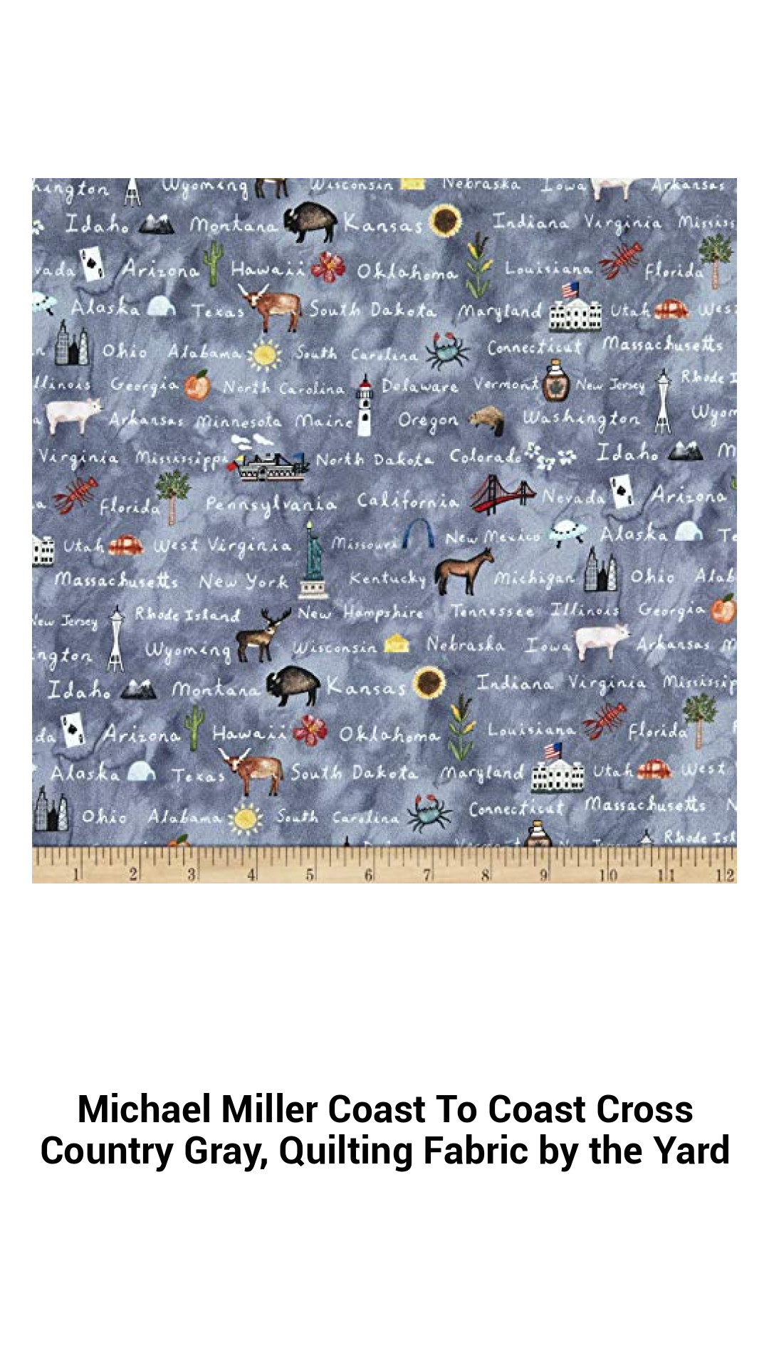 Adventure Awaits: Michael Miller Coast to Coast Cross Country Gray Quilting Fabric by the Yard for Creative Sewing Projects