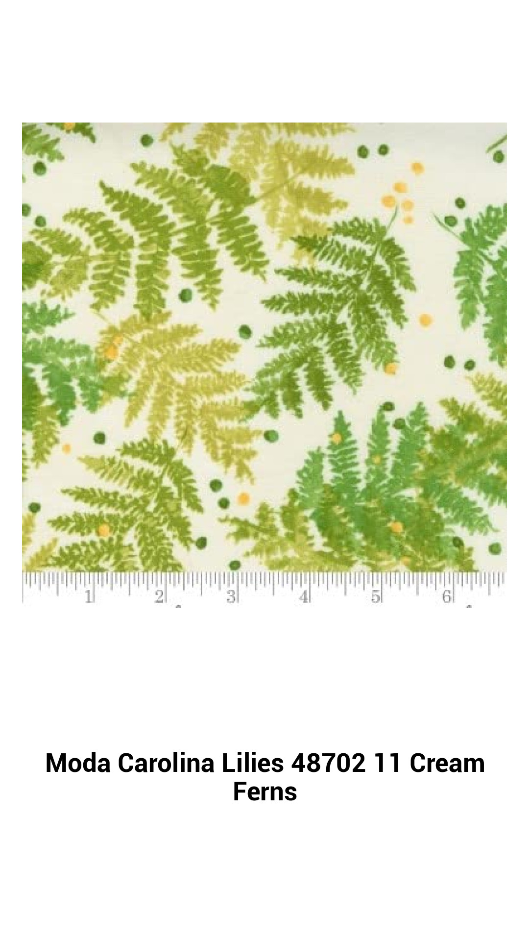 Moda Carolina Lilies 48702 11 Cream Ferns Moda Carolina Lilies 48702 11 Cream Ferns