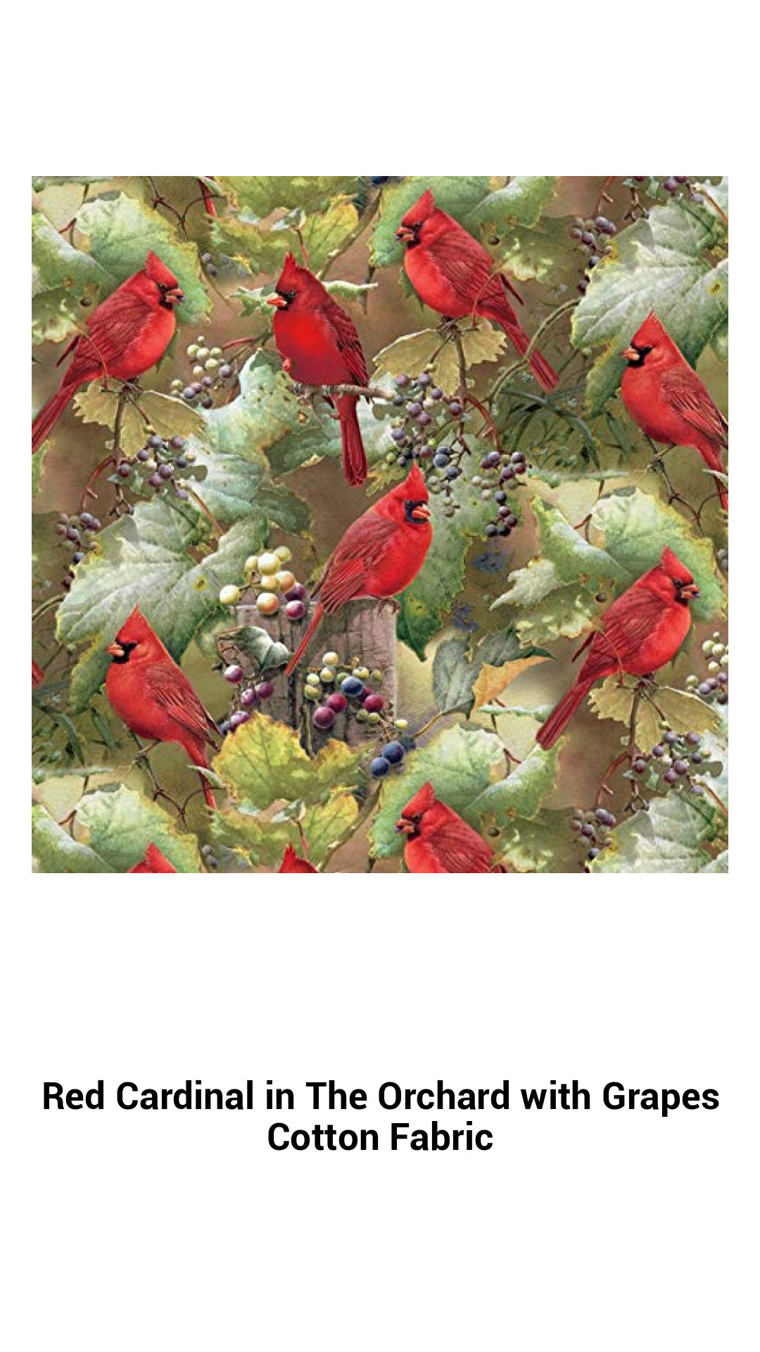 Vibrant Red Cardinal Fabric with Grapes – Luxurious 100% Cotton for Crafting & Home Décor